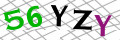 Sicherheitscode <strong style="padding: 0px 2px; color: #f00;">*</strong><br />