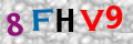 Sicherheitscode <strong style="padding: 0px 2px; color: #f00;">*</strong><br />
