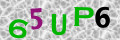 Sicherheitscode <strong style="padding: 0px 2px; color: #f00;">*</strong><br />