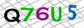Sicherheitscode
<strong style="padding: 0px 2px; color: #f00;">*</strong><br />