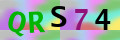 Sicherheitscode <strong style="padding: 0px 2px; color: #f00;">*</strong><br />