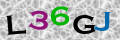 Sicherheitscode <strong style="padding: 0px 2px; color: #f00;">*</strong><br />