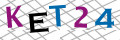 Code de sécurité <strong style="padding: 0px 2px; color: #f00;">*</strong><br />