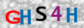 Sicherheitscode <strong style="padding: 0px 2px; color: #f00;">*</strong><br />