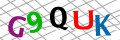 Sicherheitscode <strong style="padding: 0px 2px; color: #f00;">*</strong><br />