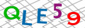 Sicherheitscode <strong style="padding: 0px 2px; color: #f00;">*</strong><br />