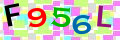 Sicherheitscode <strong style="padding: 0px 2px; color: #f00;">*</strong><br />