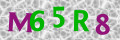 Sicherheitscode <strong style="padding: 0px 2px; color: #f00;">*</strong><br />