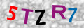 Sicherheitscode <strong style="padding: 0px 2px; color: #f00;">*</strong><br />