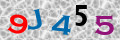 Sicherheitscode <strong style="padding: 0px 2px; color: #f00;">*</strong><br />