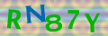 Sicherheitscode <strong style="padding: 0px 2px; color: #f00;">*</strong><br />