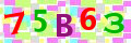 Sicherheitscode <strong style="padding: 0px 2px; color: #f00;">*</strong><br />