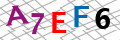 Sicherheitscode <strong style="padding: 0px 2px; color: #f00;">*</strong><br />