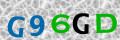Sicherheitscode <strong style="padding: 0px 2px; color: #f00;">*</strong><br />