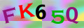 Sicherheitscode <strong style="padding: 0px 2px; color: #f00;">*</strong><br />