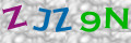 Sicherheitscode <strong style="padding: 0px 2px; color: #f00;">*</strong><br />