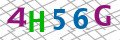 Sicherheitscode <strong style="padding: 0px 2px; color: #f00;">*</strong><br />