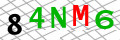 Sicherheitscode <strong style="padding: 0px 2px; color: #f00;">*</strong><br />