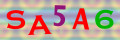 Sicherheitscode
<strong style="padding: 0px 2px; color: #f00;">*</strong><br />