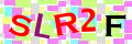 Sicherheitscode <strong style="padding: 0px 2px; color: #f00;">*</strong><br />