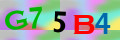 Sicherheitscode <strong style="padding: 0px 2px; color: #f00;">*</strong><br />