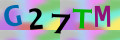 Sicherheitscode <strong style="padding: 0px 2px; color: #f00;">*</strong><br />