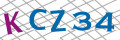 Code de s&eacute;curit&eacute; <strong style="padding: 0px 2px; color: #f00;">*</strong><br />