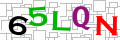 Sicherheitscode <strong style="padding: 0px 2px; color: #f00;">*</strong><br />