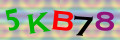 Sicherheitscode <strong style="padding: 0px 2px; color: #f00;">*</strong><br />