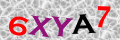 Code de sécurité <strong style="padding: 0px 2px; color: #f00;">*</strong><br />