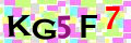 Sicherheitscode <strong style="padding: 0px 2px; color: #f00;">*</strong><br />