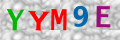 Sicherheitscode <strong style="padding: 0px 2px; color: #f00;">*</strong><br />
