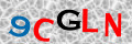 Sicherheitscode <strong style="padding: 0px 2px; color: #f00;">*</strong><br />