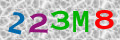 Sicherheitscode <strong style="padding: 0px 2px; color: #f00;">*</strong><br />