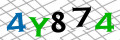 Code de sécurité <strong style="padding: 0px 2px; color: #f00;">*</strong><br />