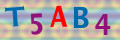 Sicherheitscode <strong style="padding: 0px 2px; color: #f00;">*</strong><br />