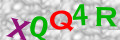 Sicherheitscode <strong style="padding: 0px 2px; color: #f00;">*</strong><br />