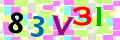 Sicherheitscode <strong style="padding: 0px 2px; color: #f00;">*</strong><br />