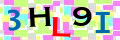 Sicherheitscode <strong style="padding: 0px 2px; color: #f00;">*</strong><br />